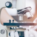 Exploring the World of Food Science