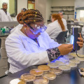 What Jobs Can You Get from Food Science?