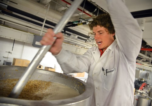 6 Areas of Food Science Explained