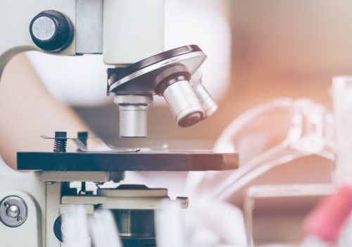 Exploring the World of Food Science