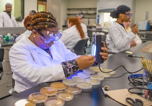 What Jobs Can You Get from Food Science?
